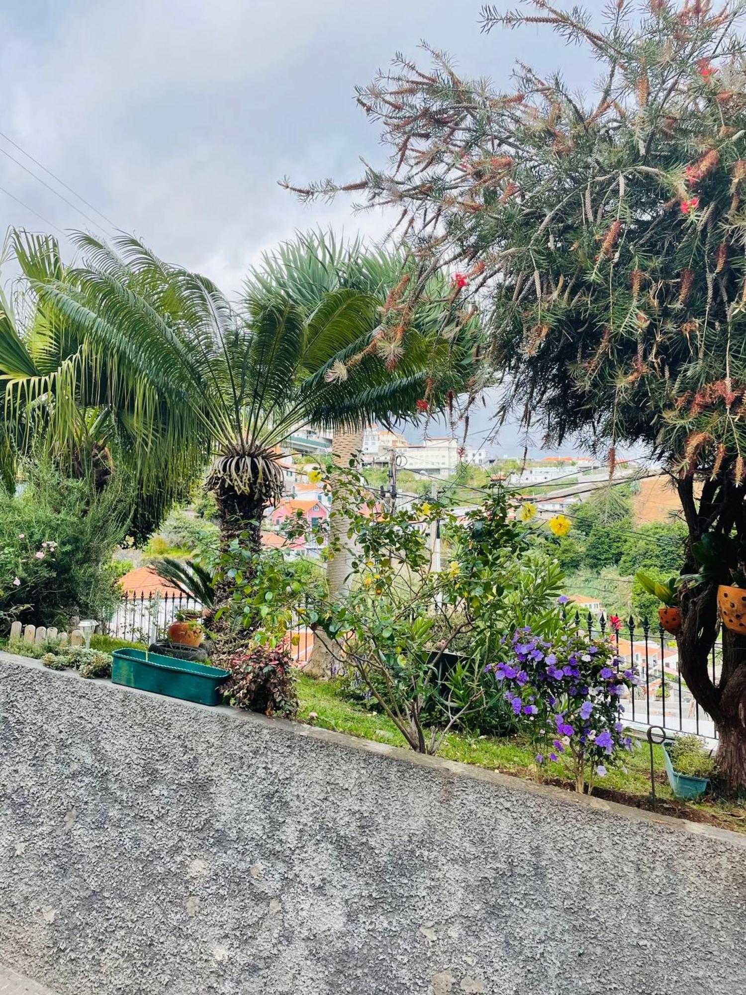 Hotel Cozy House Funchal  Exteriér fotografie